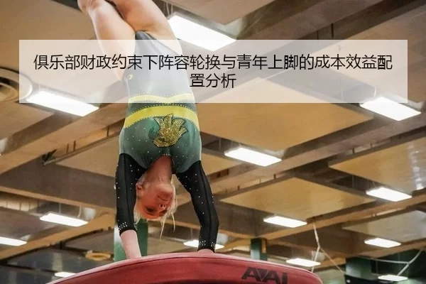 ju-le-bu-cai-zheng-yue-shu-xia-zhen-rong-lun-huan-yu-qing-nian-shang-jiao-de-cheng-ben-xiao-yi-pei-zhi-fen-xi-3-363.jpg