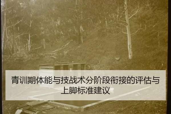qing-xun-qi-ti-neng-yu-ji-zhan-shu-fen-jie-duan-xian-jie-de-ping-gu-yu-shang-jiao-biao-zhun-jian-yi-2-182.jpg
