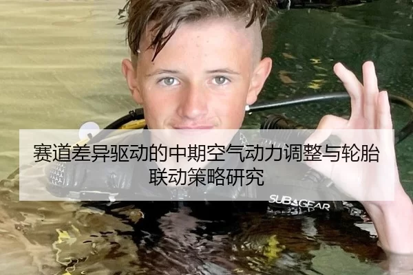 赛道差异驱动的中期空气动力调整与轮胎联动策略研究